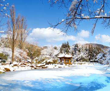 Destination Korea
